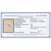 AUSTRALIA - 1915 5/- grey/chrome Kangaroo, 2nd watermark, used – ACSC # 43B