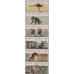 AUSTRALIA - 1995 45c Kangaroos & Koalas CPS set of 6, SYDNEY 95, MNH – ACSC # 1806A-1806F
