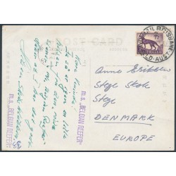 AUSTRALIA - 1962 1/2 purple Thylacine on postcard to Denmark – ACSC # 364A