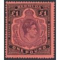 BERMUDA - 1943 £1 purple/black on red KGVI definitive, perf. 14, MH – SG # 121c