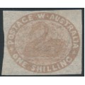 AUSTRALIA / WA - 1855 1/- pale brown Swan, imperforate, swan watermark, MNG – SG # 4c