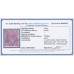 AUSTRALIA - 1928 4½d violet KGV, SM watermark, p.13½:12½, perf. OS, used – ACSC # 120Bba