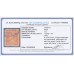 AUSTRALIA - 1915 5d chestnut KGV, line perf., 'flaw in upper frame' [1L7], used – ACSC # 122Ag+ba