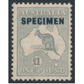 AUSTRALIA - 1935 £1 grey Kangaroo, CofA watermark, o/p SPECIMEN, MH – ACSC # 54x
