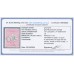 AUSTRALIA - 1917 10/- grey/pink Kangaroo, 'break in NSW coast' [L6], CTO – ACSC # 48A(D)d+wa