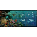 AUSTRALIA - 1995 Marine Life M/S, Swanpex o/p, MNH – SG # MS1562